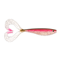 Live Rainbow Trout