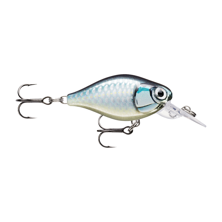 api-2000x2000,fit-new-146511.png