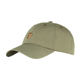 helags_cap_77357-622_a_main_fjr.png