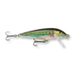 Minnow