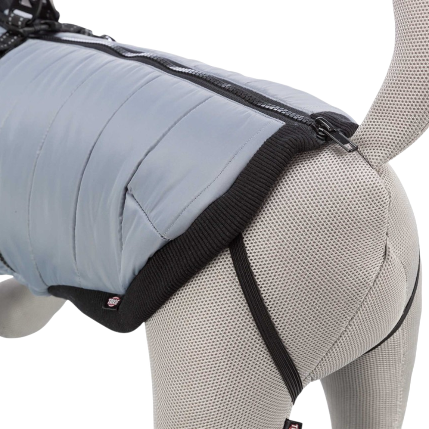 prod1000-clip_680340-5.png