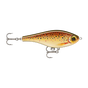 Live Brown Trout