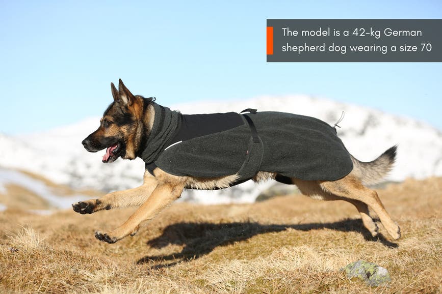 wool_dog_jacket_setting_2.jpg