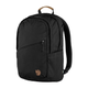 raven_20_23344-550_f_main_fjr.png