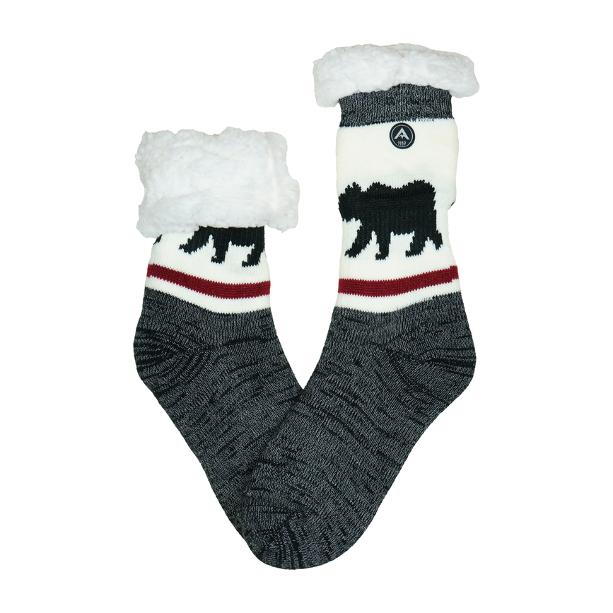 avignon_avignon_heat-707-bear.png
