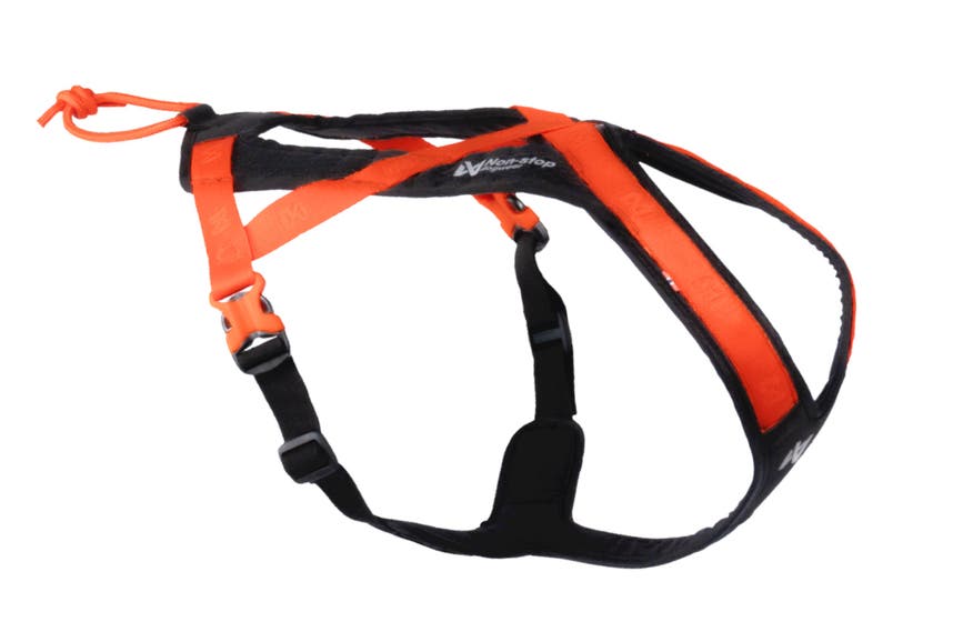 rush_harness_1.jpg