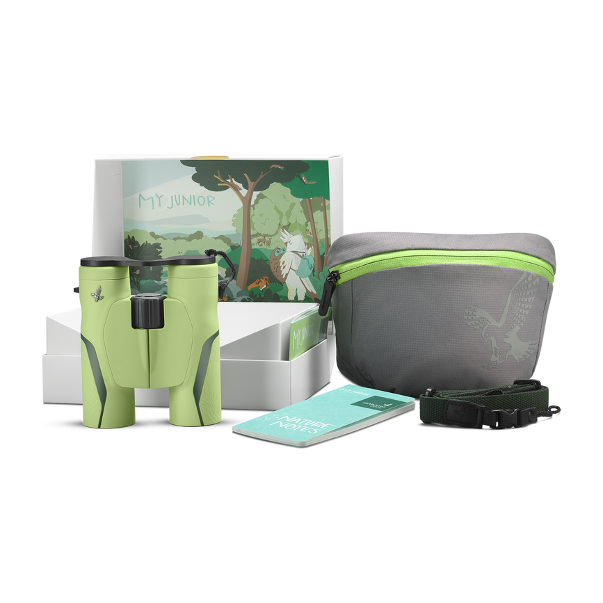 1bjojpousbefqxu6l5qhol-419c313a30acca9ddd6b62c971b6101f-k24_my_junior_jungle_green_lieferumfang_rgb.png