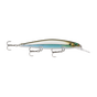 Moss Back Shiner