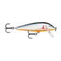 Silver Shiner