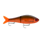 Lava Roach