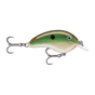 Copper Green Shad