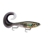 Smelt On The Beach