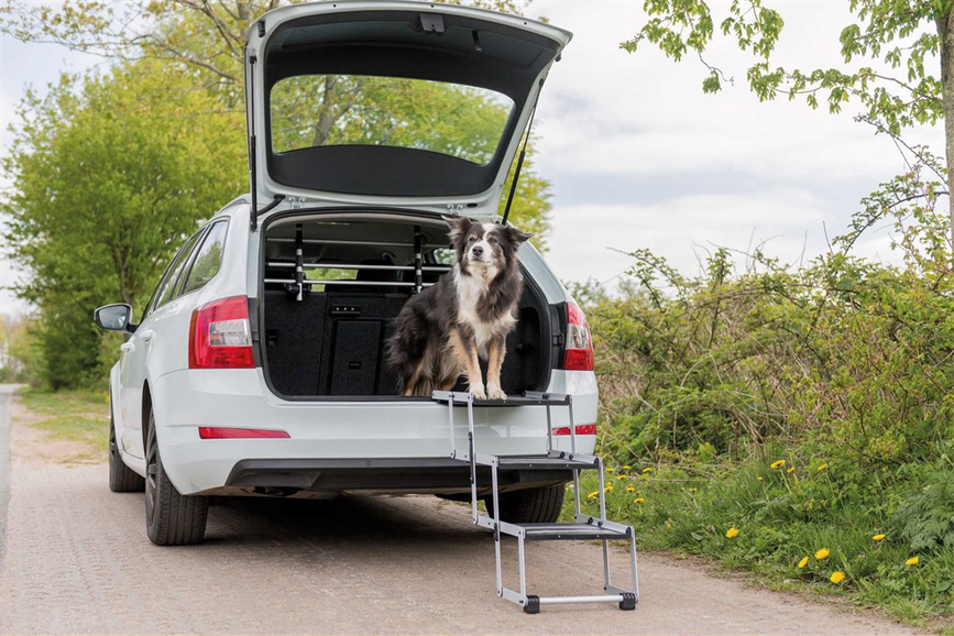 prod1000-image_dog_bordercollie-sonic-falttreppe-auto-9.png