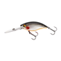 Steel Sardine