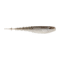 Gizzard Shad