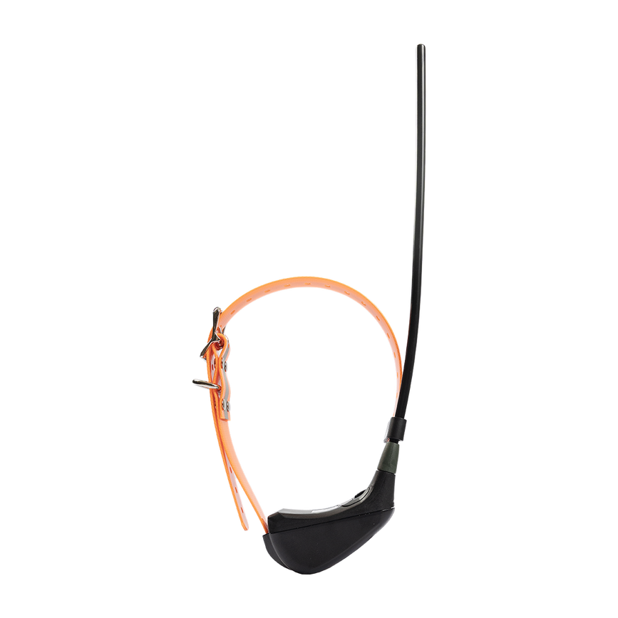 imgi_30_artemis_5d2a1124.png