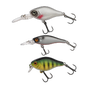 Trout