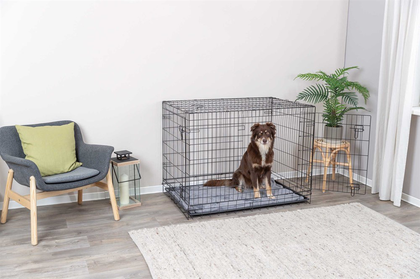 prod1000-dog_39305-2_.png
