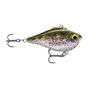 Olive Minnow