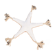 prod1000-36046-2.png