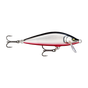 Gilded Red belly