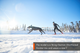 freemotion_harness_setting_3.png