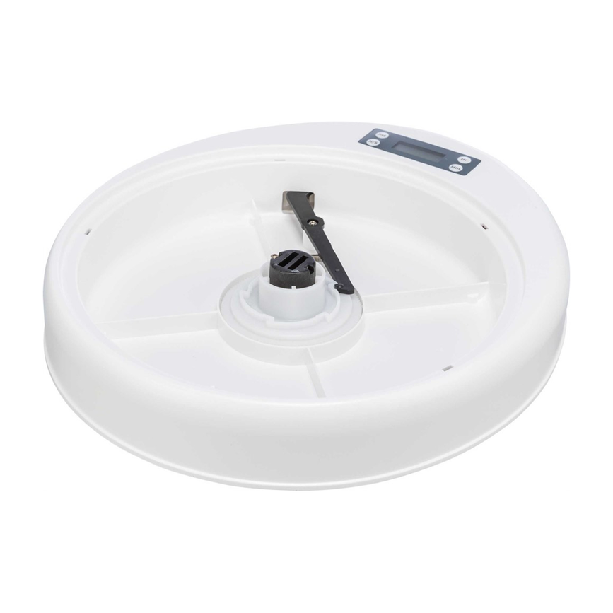 prod1000-clip_24384-10.png
