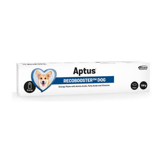 2017-12-aptus-recobooster-dog.png