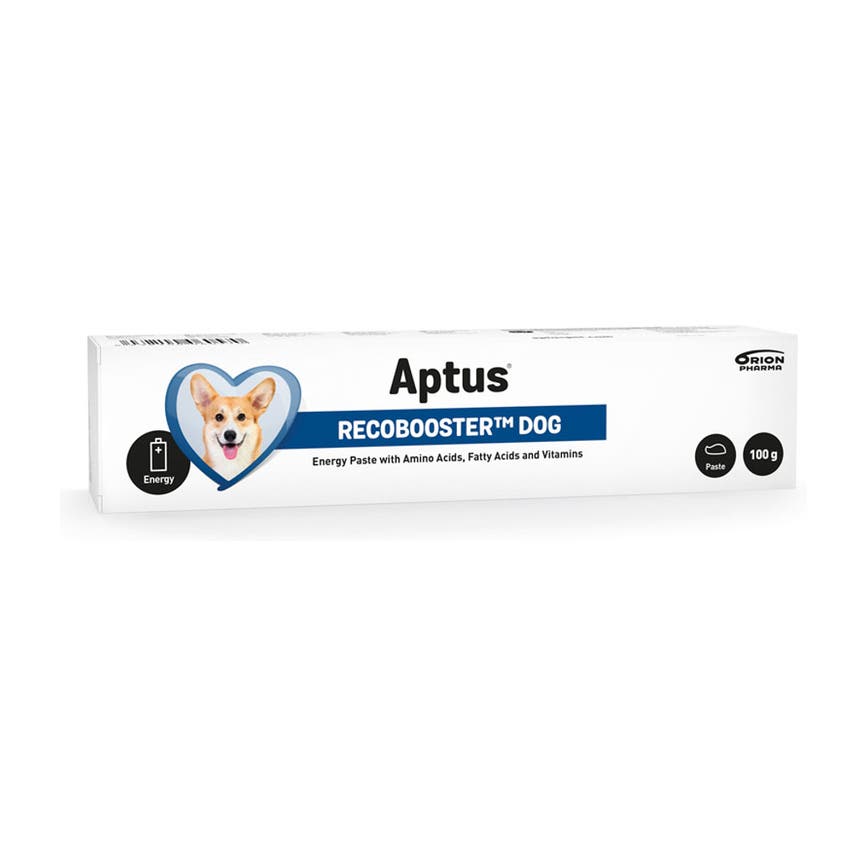 2017-12-aptus-recobooster-dog.png