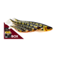 4-fairpoint-public-pim-bc-8ac70ed3-c54c-4cda-8b49-ed3f6aefa471-p021_shadteez_large.png