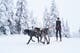 bungee_leash_double_setting_1.jpg