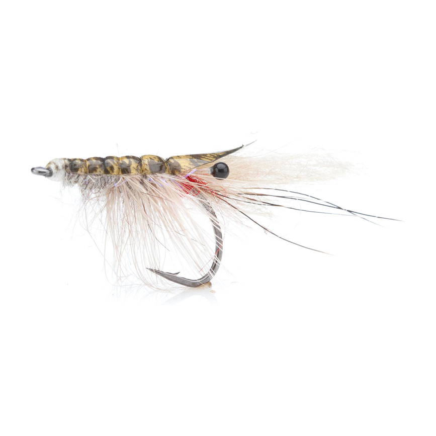 4-fairpoint-public-pim-bc-c6751aa2-250a-42e9-9045-d7a26f55fc7c-fl00599b_fl00502_johnshrim_grey_large.png