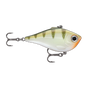 Yellow Perch