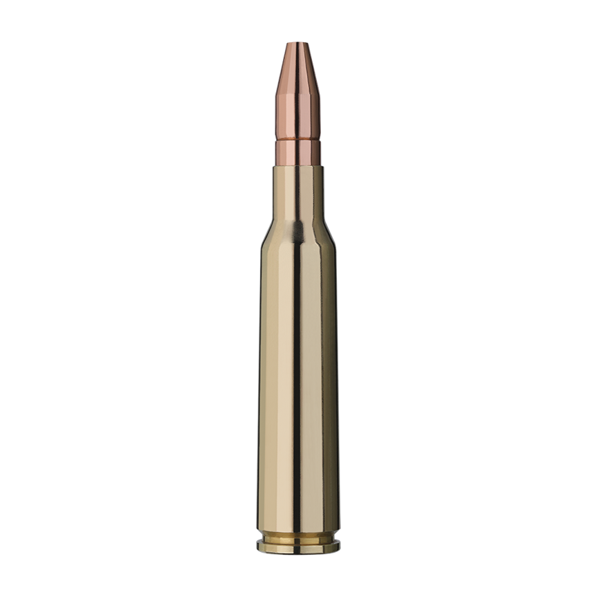 user_upload-rws-bilder-produkte-munition-buechsenpatronen-patronen-2116995_rws_6,5x55se_dk_9,1g_einzelpatrone-seite.png