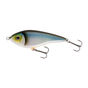 Blueback Herring