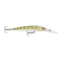Yellow Perch