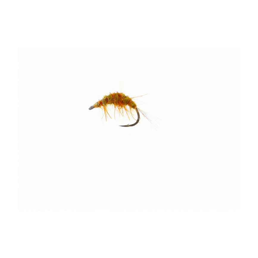 4-fairpoint-public-pim-bc-c192b0fd-d938-43fc-b295-4cc902c03aed-fl00720k_fl00741_large.png