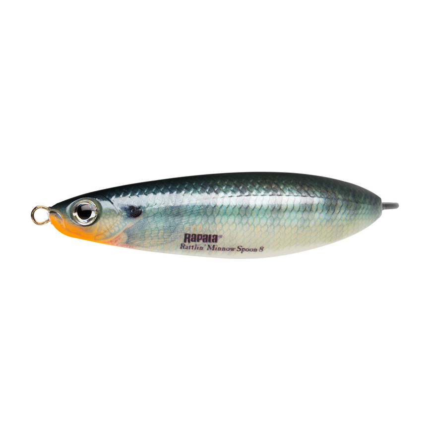 api-2000x2000,fit-new-102320.png