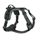 ramble_harness_3.png