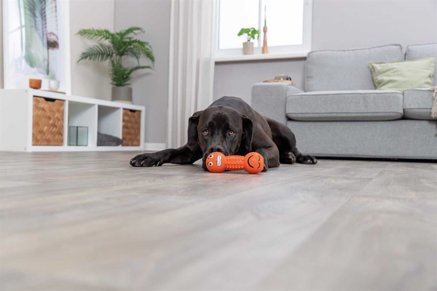 prod1000-pro_dog_35251-2.png
