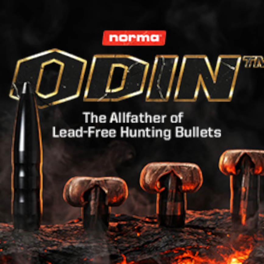 2 Odin 320x250.png