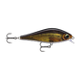 Live Zander
