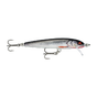 Gilded Live Roach