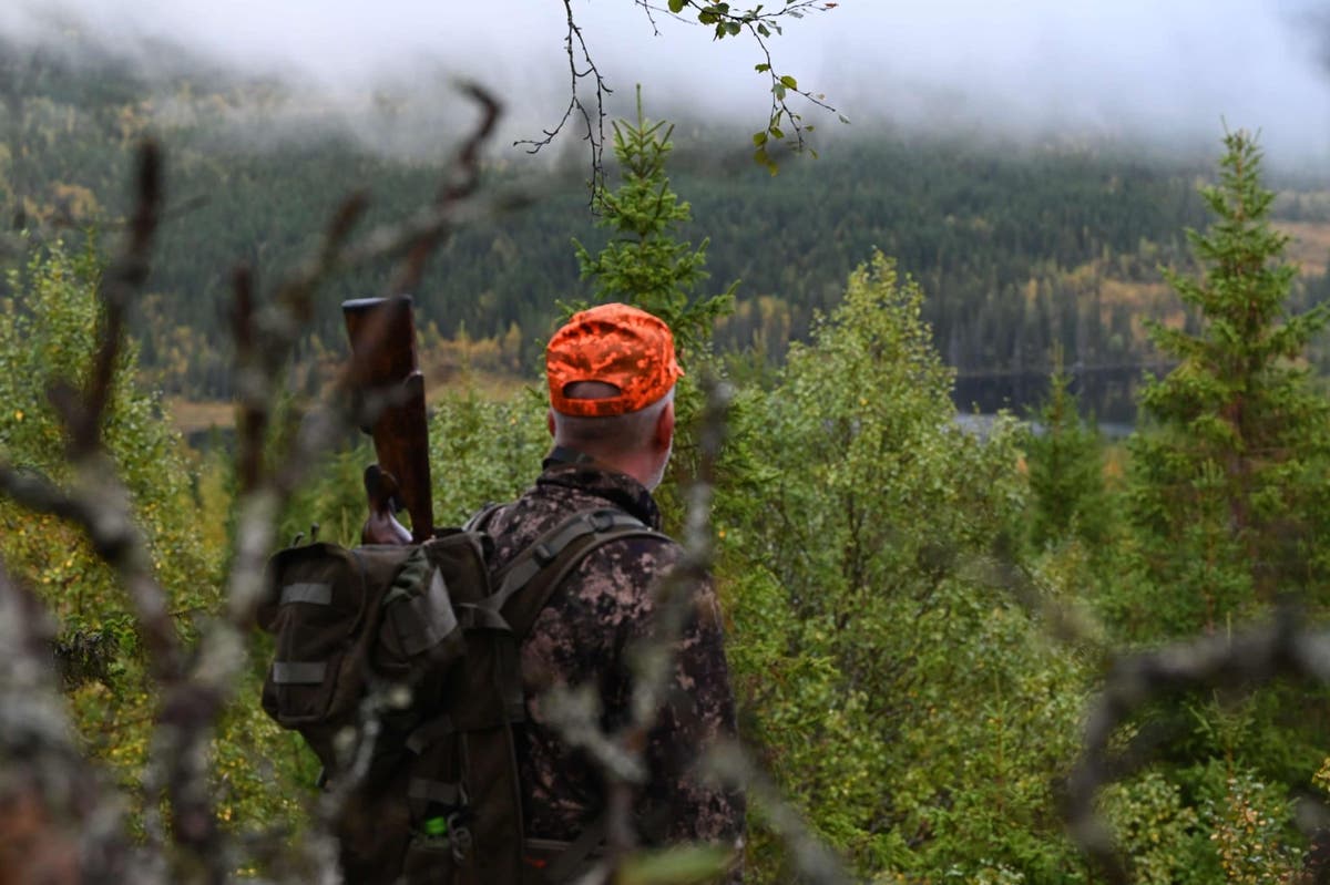 wpmdavids-reportage-6.jpg