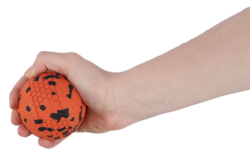 dogball_8104-8105_02.jpg