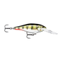 Live Hologram Perch
