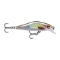 Live Roach