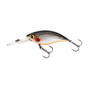 Steel Sardine