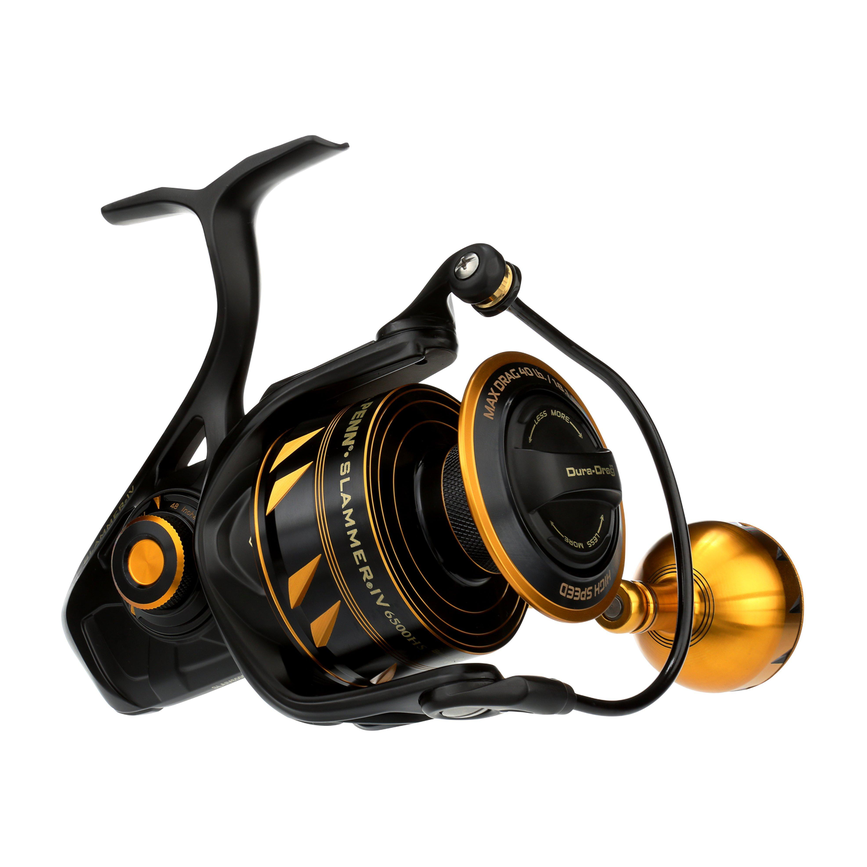 1310317_6500_hs_ms.png