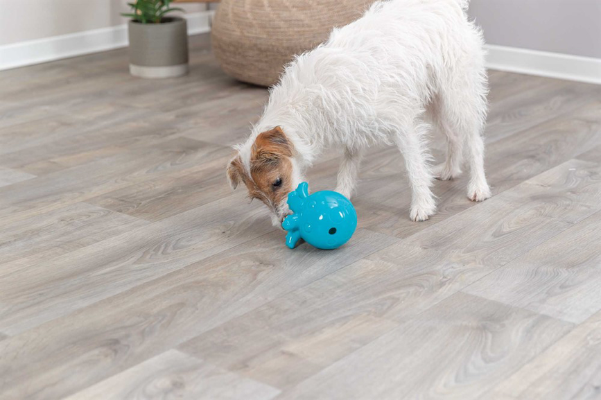 prod1000-dog_34933-1.png